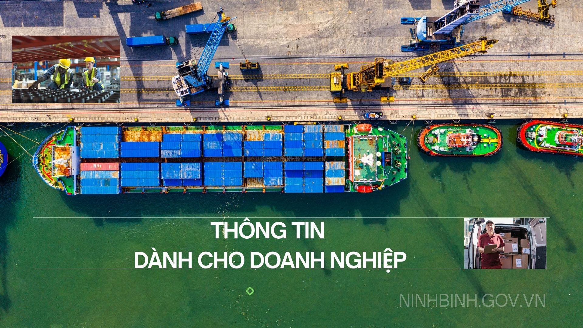 Quy định chi tiết thủ tục thi hành quyết định tuyên bố doanh nghiệp, hợp tác xã phá sản.