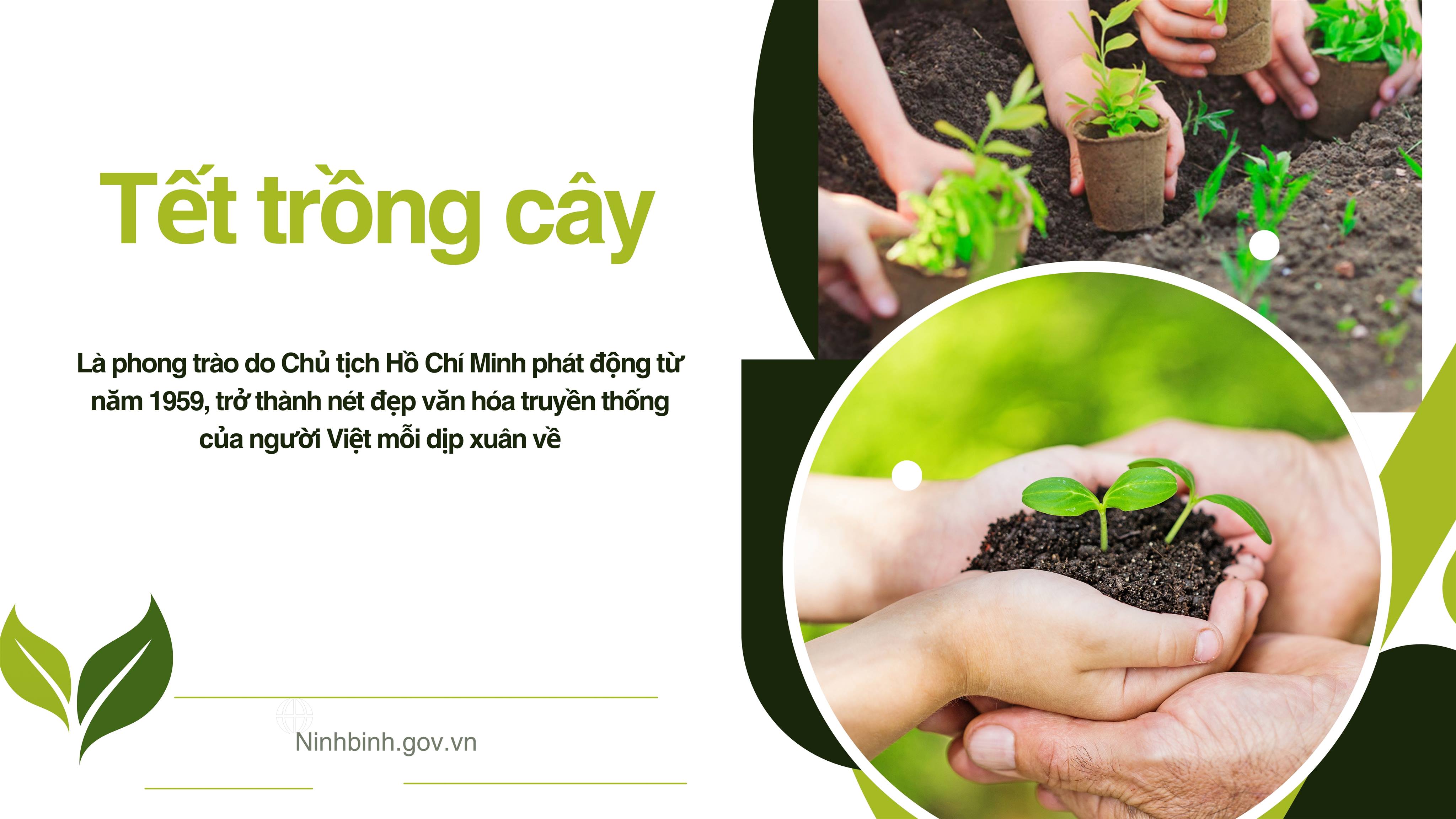 Xã Xuân Hưng: Phát động Tết trồng cây Xuân Bính Ngọ 2026, hướng tới mục tiêu xanh bền vững