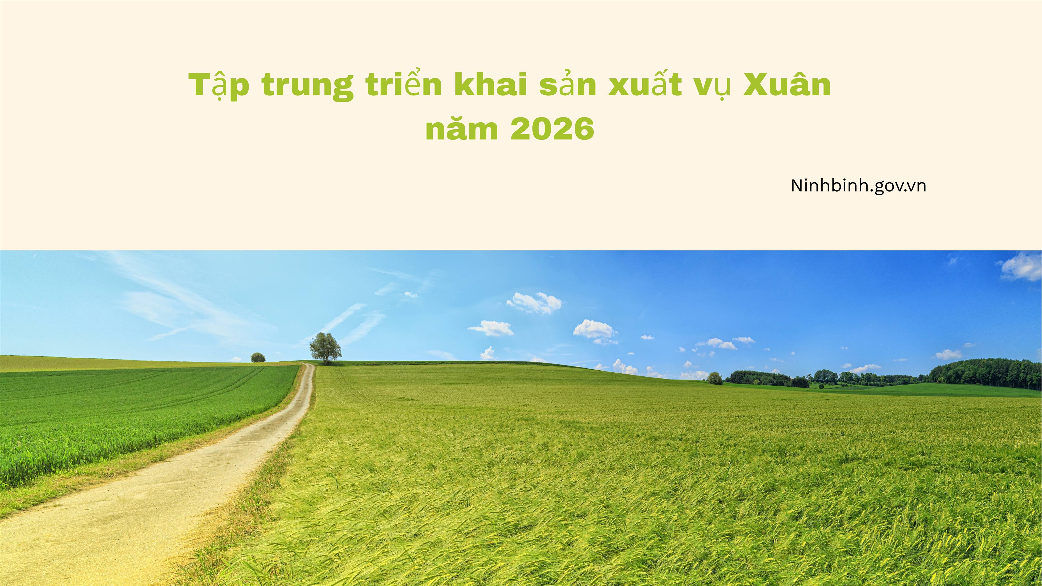 Xã Trực Ninh tập trung triển khai sản xuất vụ Xuân năm 2026, phấn đấu thắng lợi toàn diện