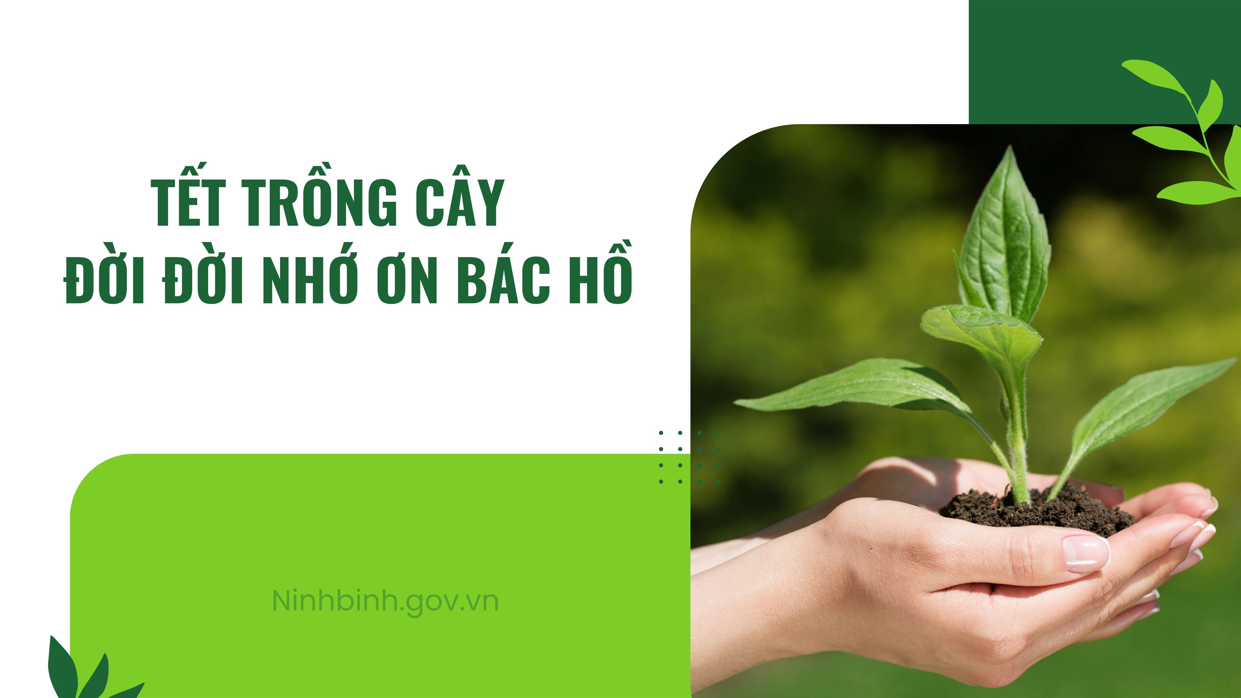Xã Giao Bình: Sẵn sàng ra quân “Tết trồng cây đời đời nhớ ơn Bác Hồ” Xuân Bính Ngọ 2026