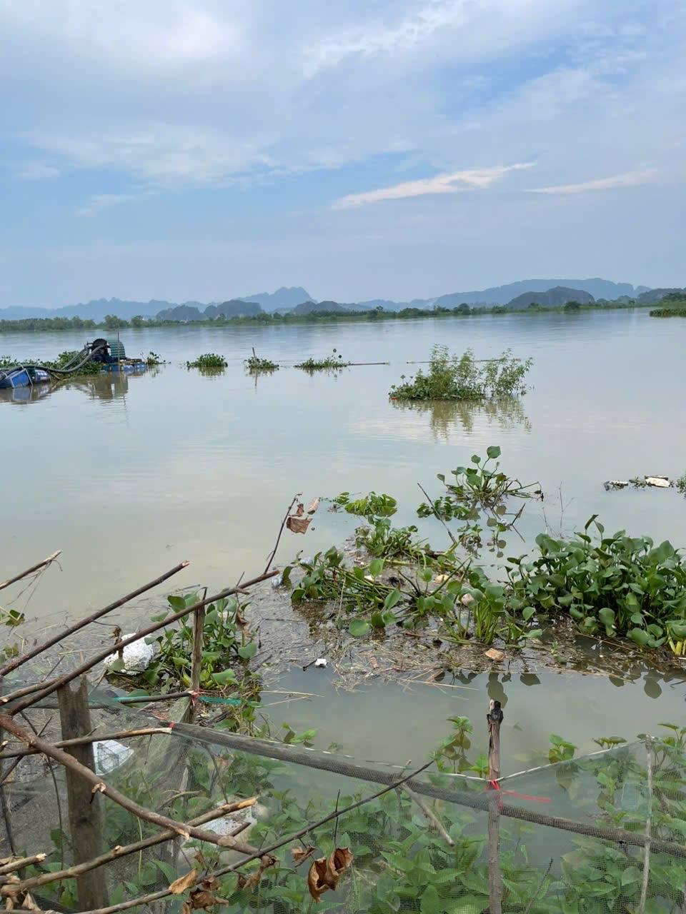 Kế hoạch triển khai thực hiện hành động quốc gia về khắc phục ô nhiễm và quản lý chất lượng môi trường không khí giai đoạn 2026 - 2030, tầm nhìn đến năm 2045 trên địa bàn tỉnh Ninh Bình