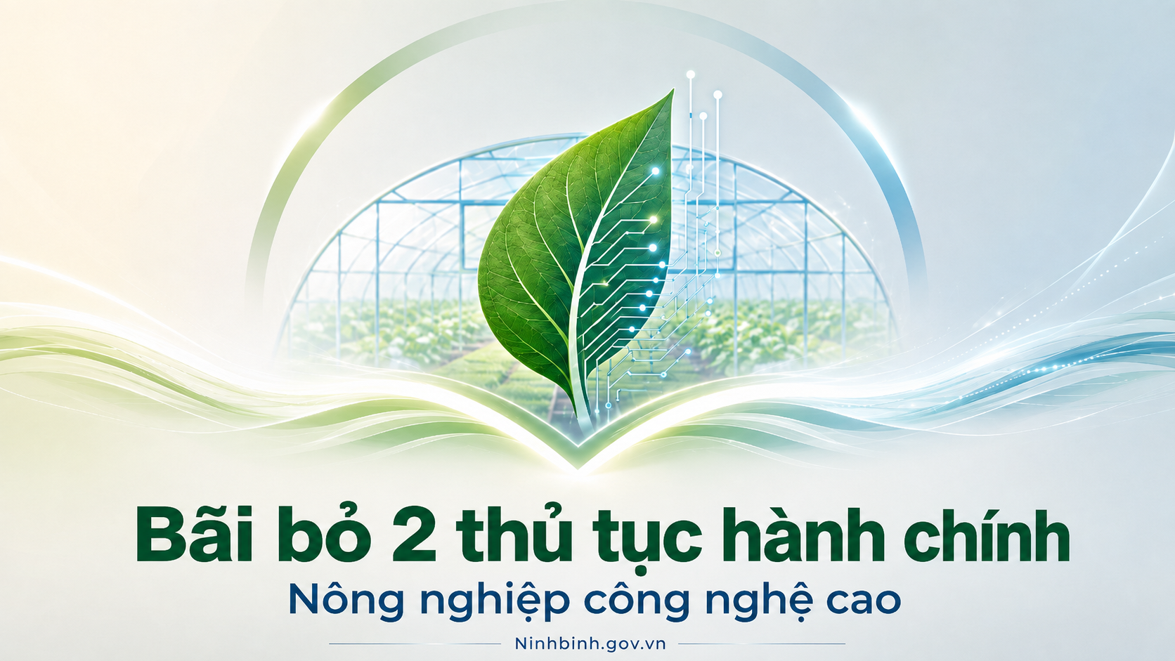 UBND công bố Danh mục 02 thủ tục hành chính bãi bỏ lĩnh vực nông nghiệp công nghệ cao