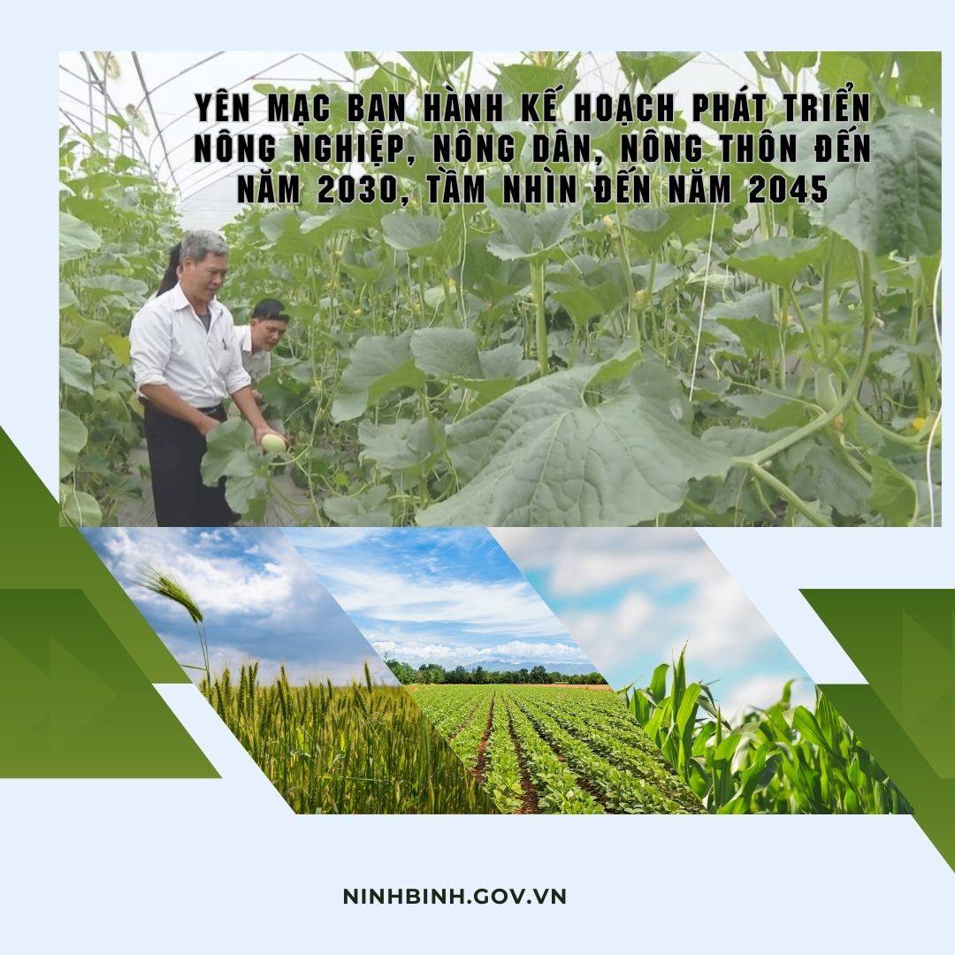 Yên Mạc ban hành Kế hoạch phát triển nông nghiệp, nông dân, nông thôn đến năm 2030, tầm nhìn đến năm 2045