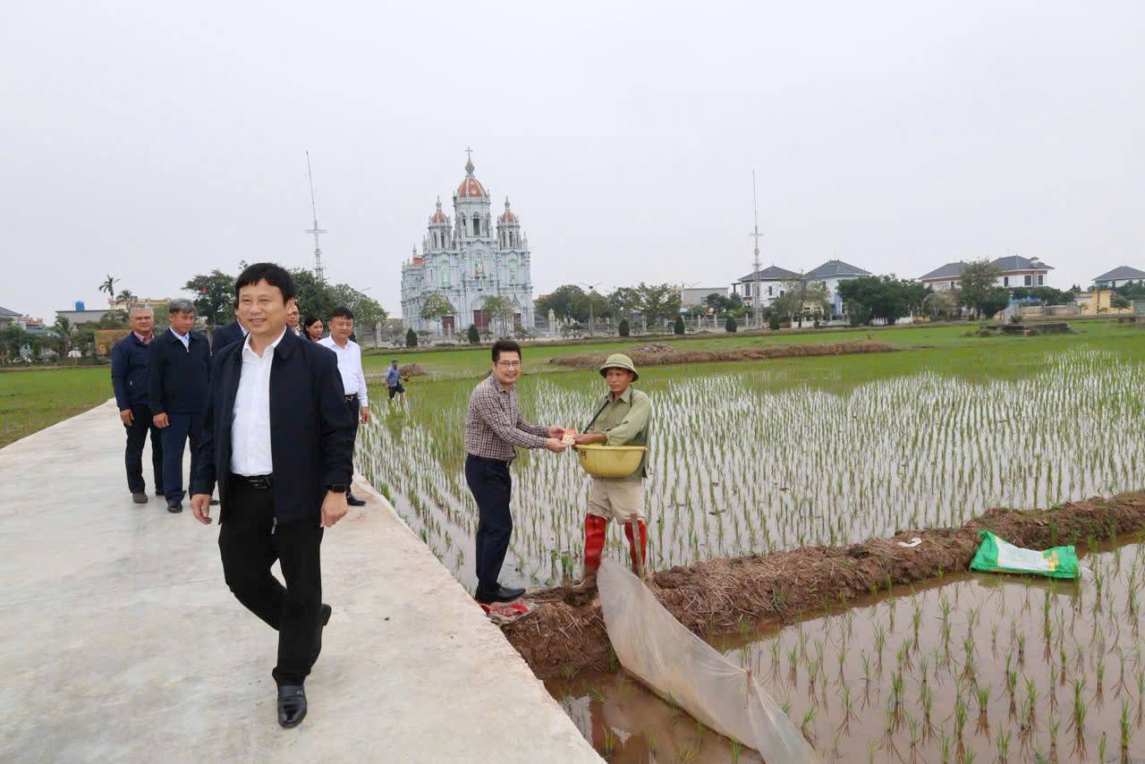 anh tin bai