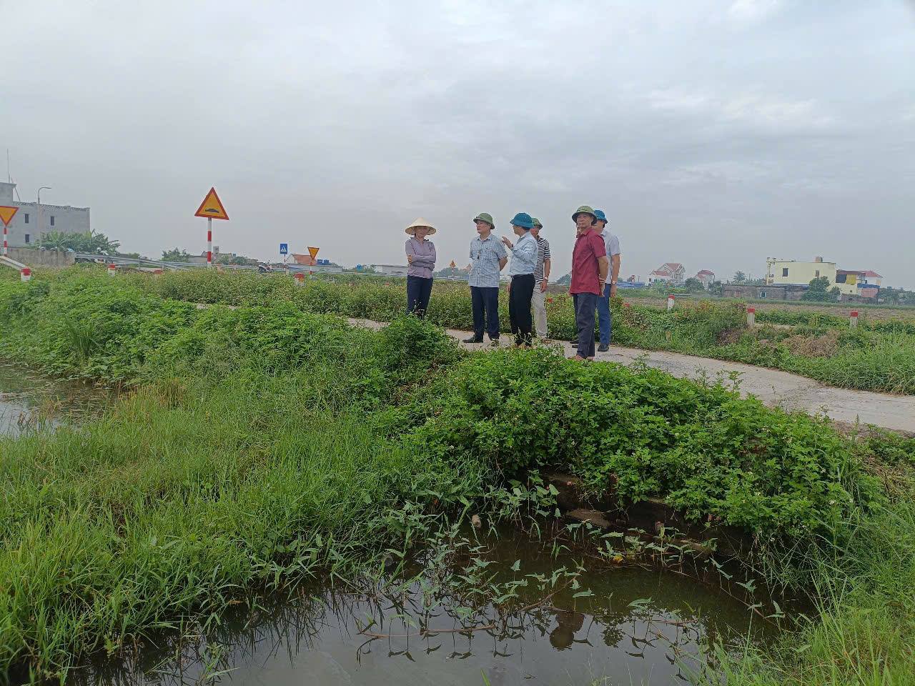 anh tin bai