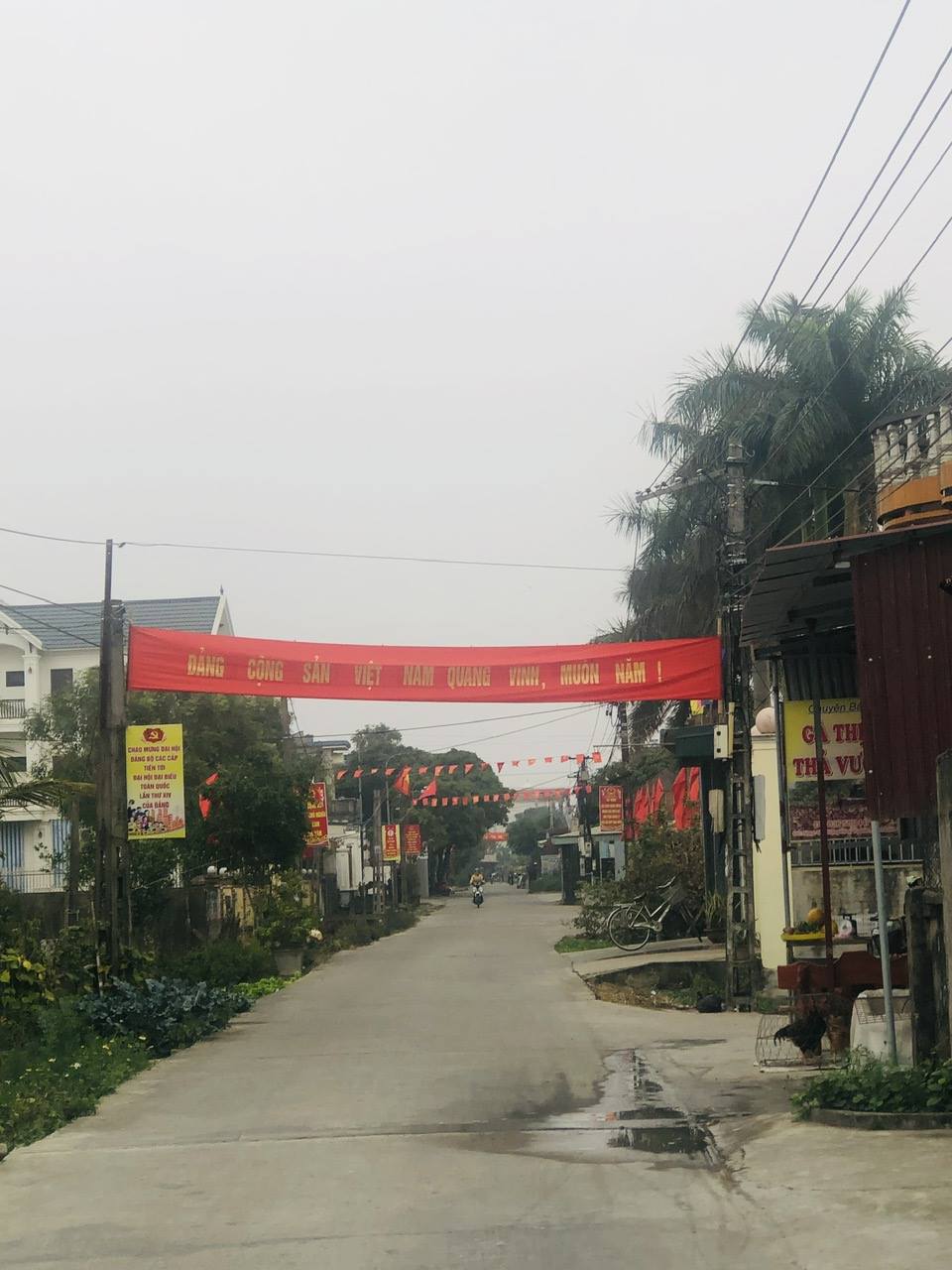 anh tin bai