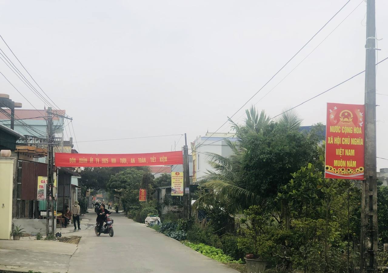 anh tin bai