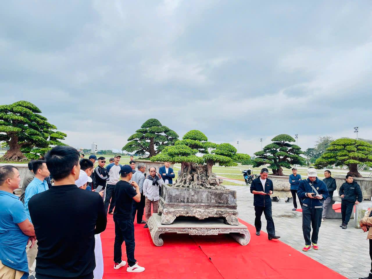 Khai mạc Triển lãm Sinh vật cảnh tại khu di tích Quốc gia Đặc biệt Đền Trần, chùa Tháp, phường Nam Định, tỉnh Ninh Bình Xuân Bính Ngọ 2026