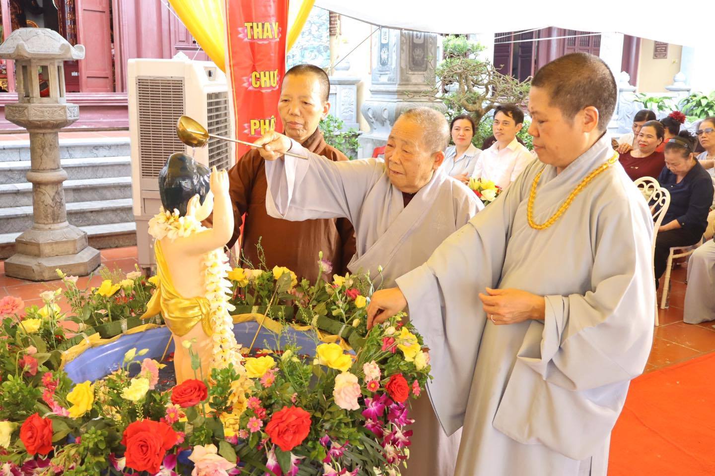 anh tin bai
