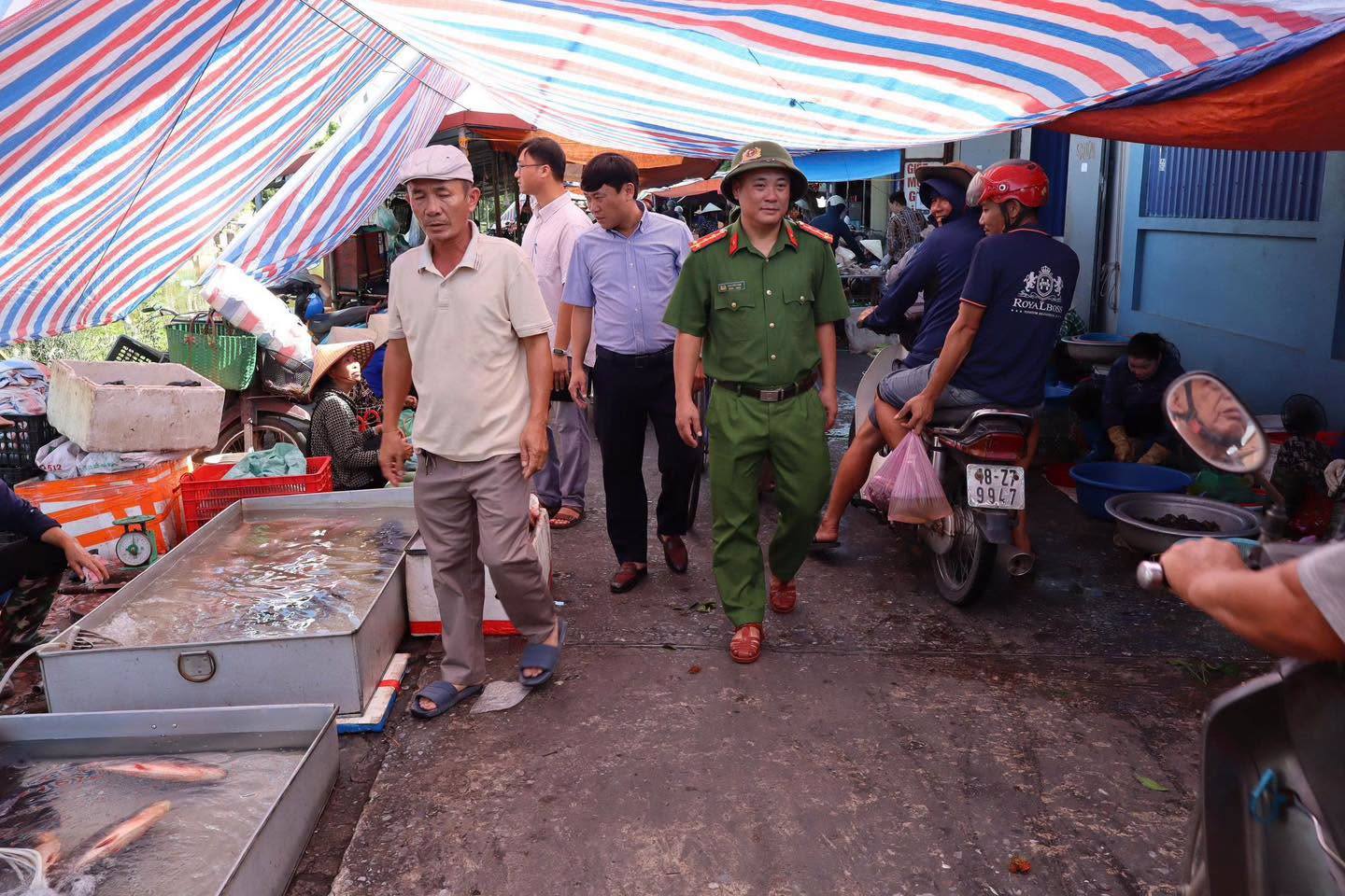 anh tin bai