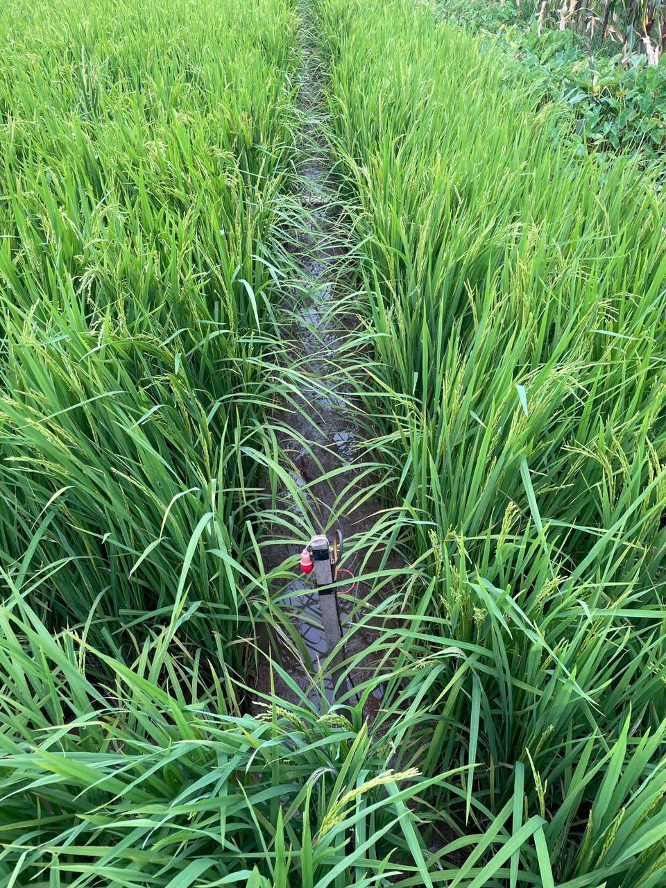 anh tin bai