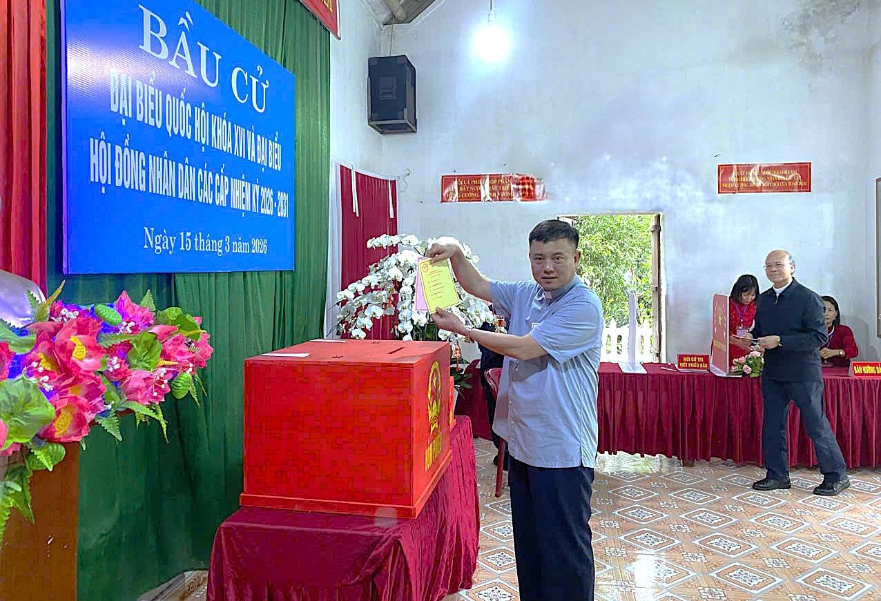 anh tin bai