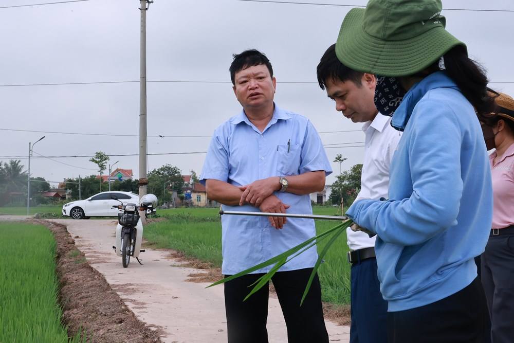 anh tin bai