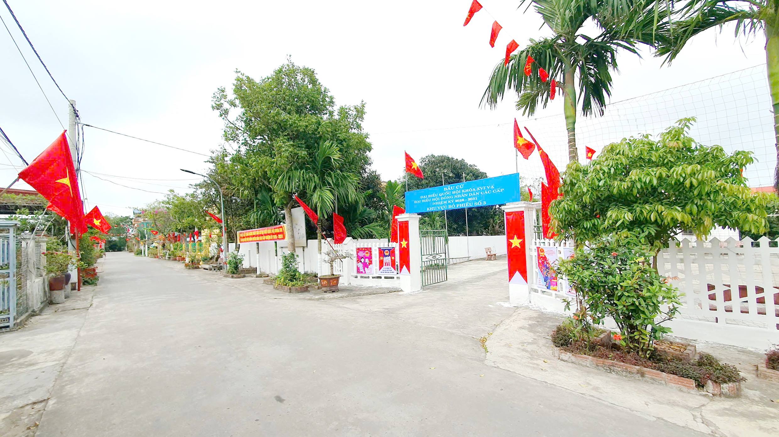anh tin bai