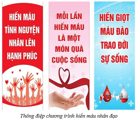🌻Hưởng ứng “Ngày tôn vinh người hiến máu” năm 2025🌻