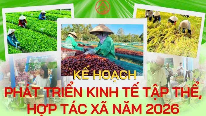 (Infographic) Kế hoạch phát triển kinh tế tập thể, hợp tác xã năm 2027