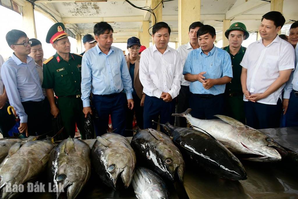 Bí thư Tỉnh ủy Lương Nguyễn Minh Triết kiểm tra công tác chống khai thác IUU
