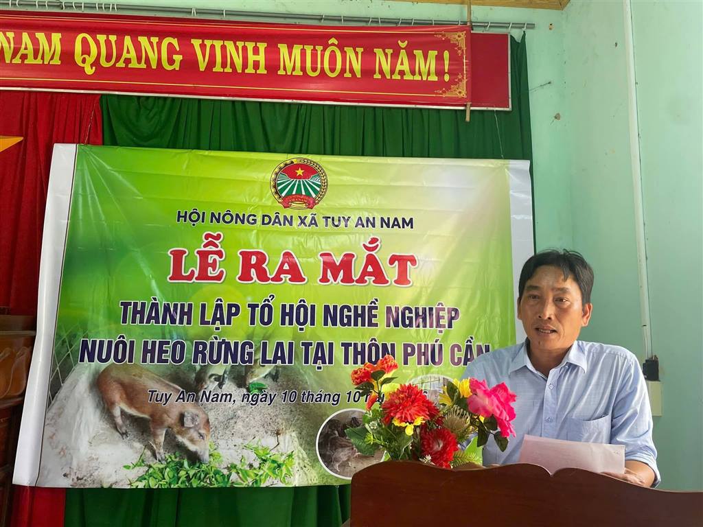 HỘI NÔNG DÂN XÃ TUY AN NAM RA MẮT MÔ HÌNH TỔ HỘI NGHỀ NGHIỆP NUÔI HEO RỪNG LAI TẠI THÔN PHÚ CẦN