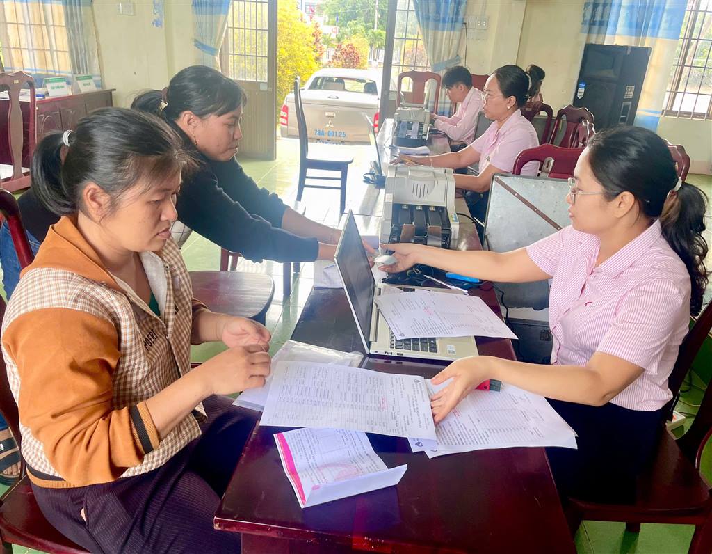 TÍN DỤNG CHÍNH SÁCH - ĐIỂM TỰA GIÚP NGƯỜI DÂN TUY AN TÂY PHÁT TRIỂN SINH KẾ