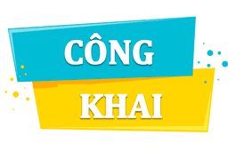 CÔNG KHAI TÀI CHÍNH
