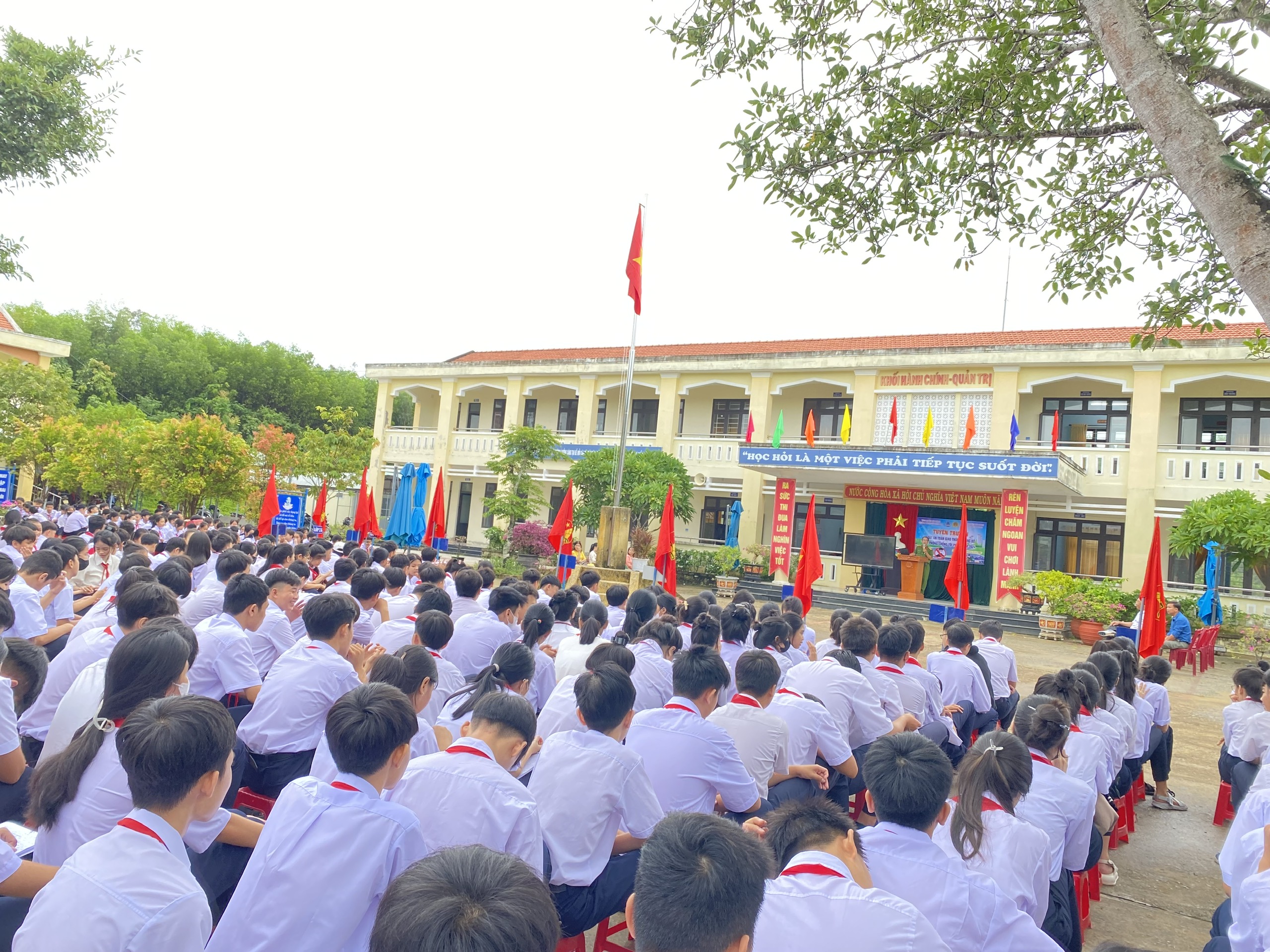 anh tin bai