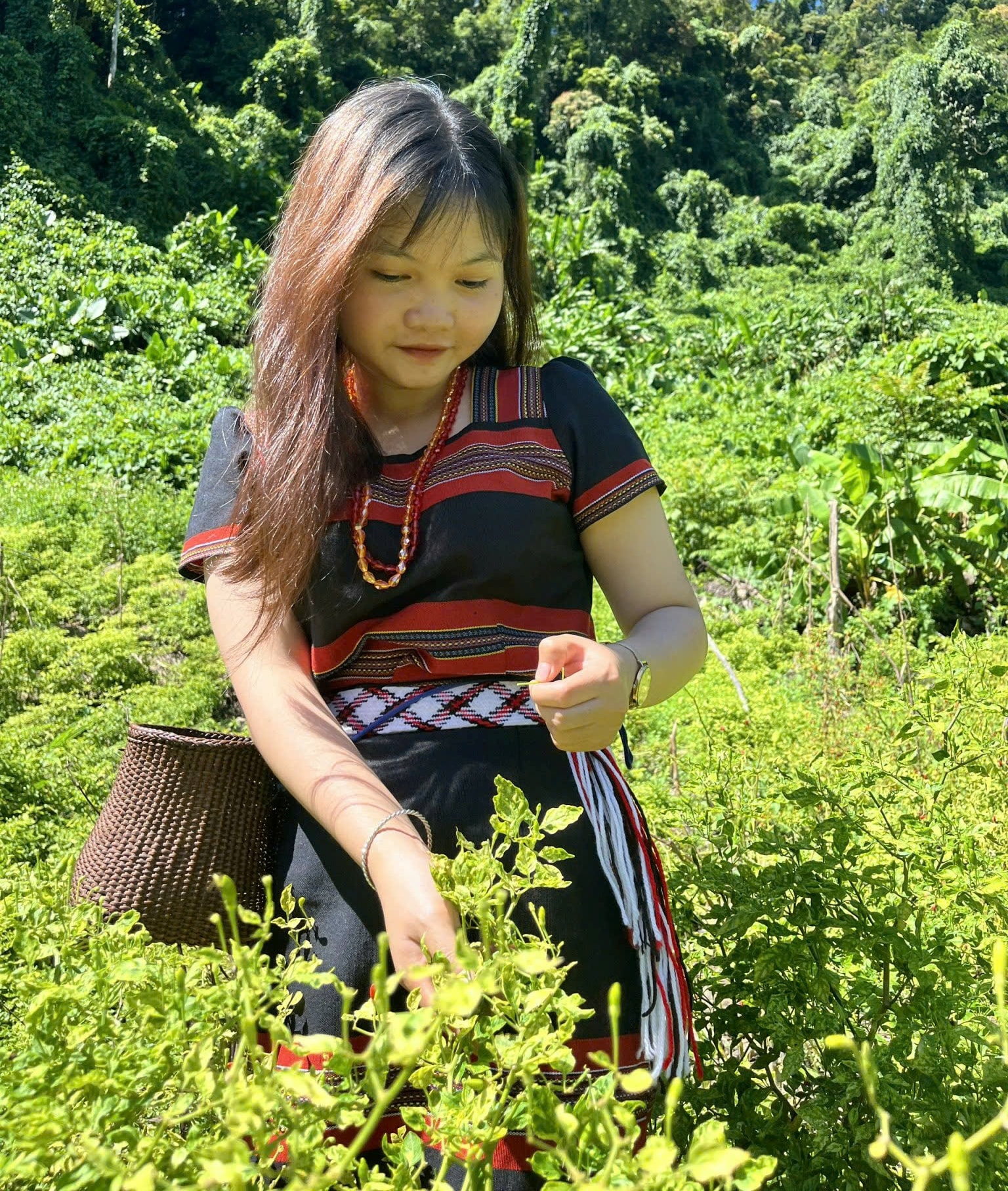 anh tin bai