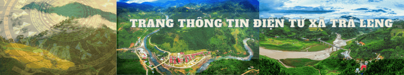 image banner