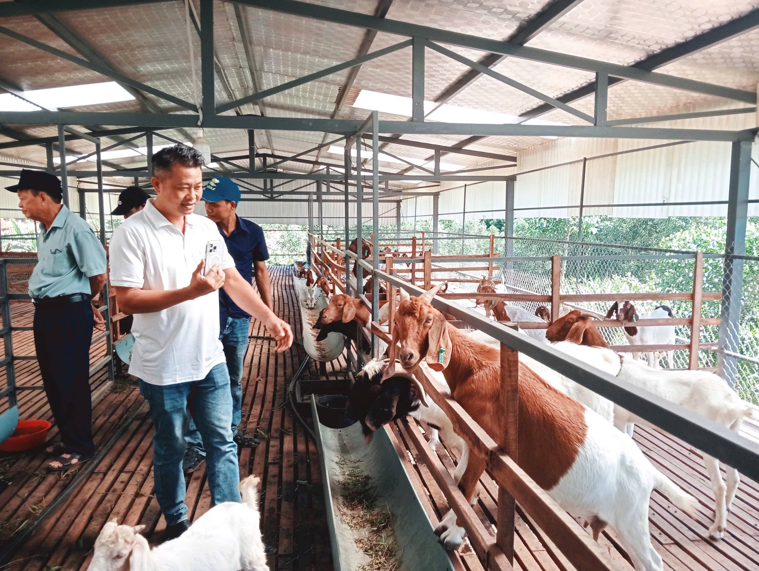 Xã Quế Sơn Trung tổ chức tham quan, tìm hiểu các mô hình sản xuất Nông nghiệp