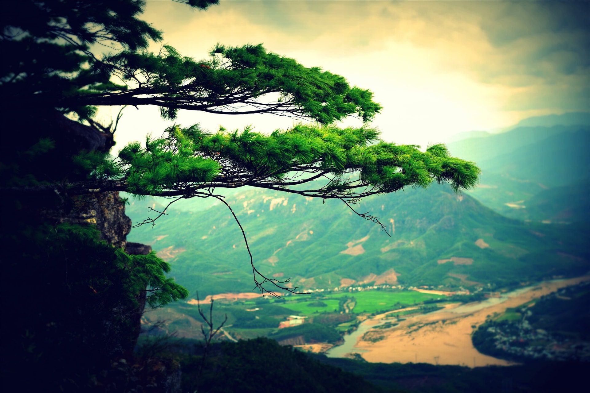 Ảnh đẹp