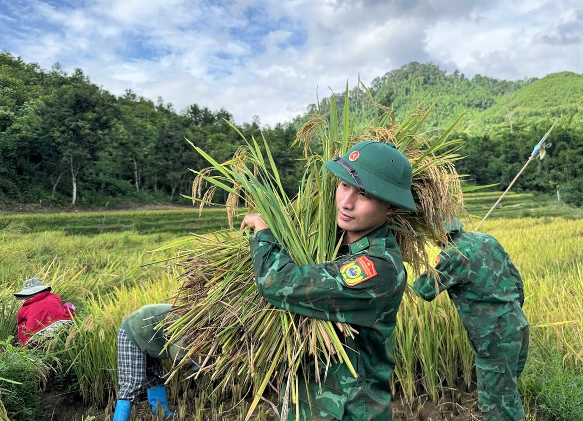 Tình Quân Dân