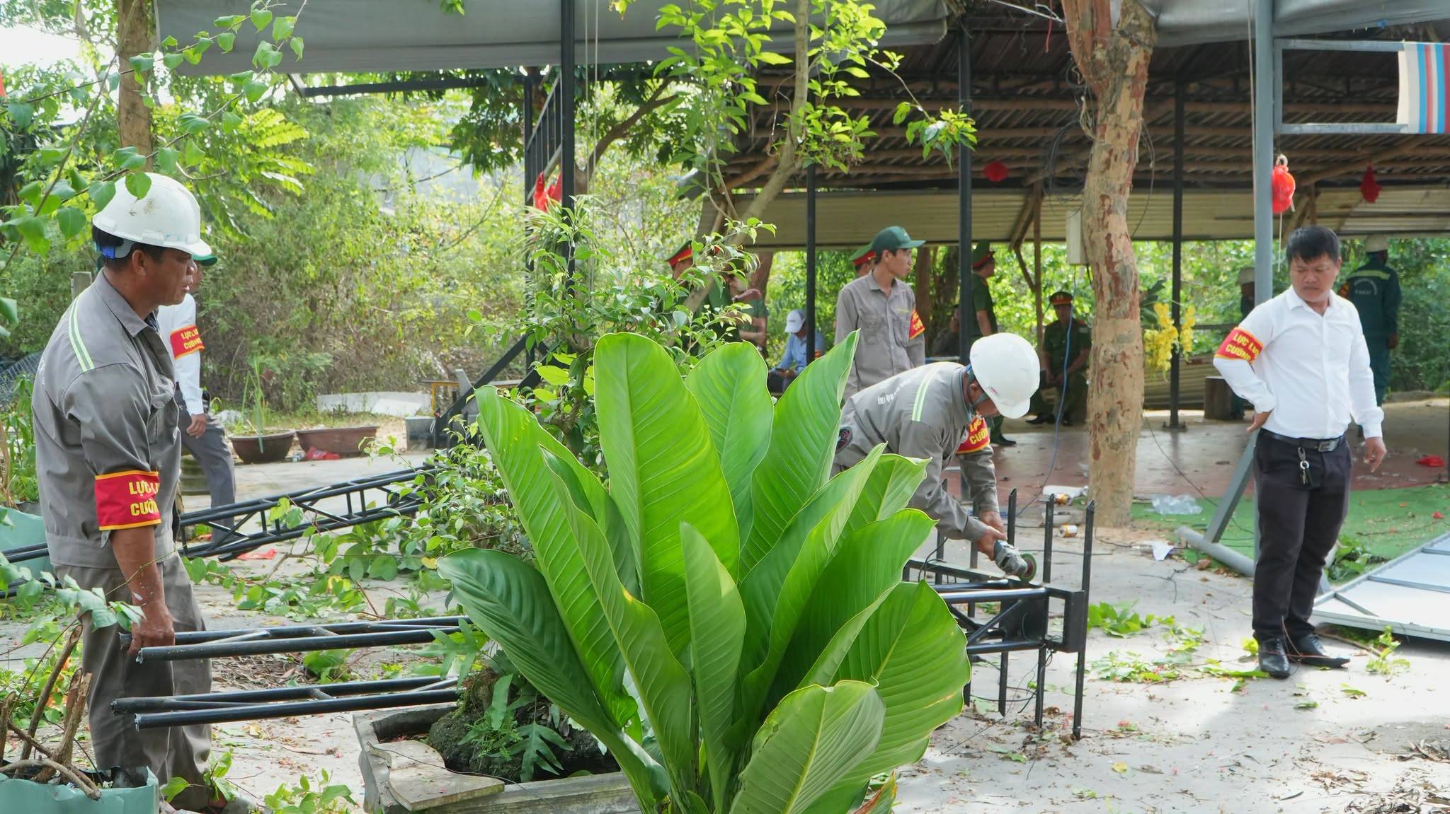 anh tin bai