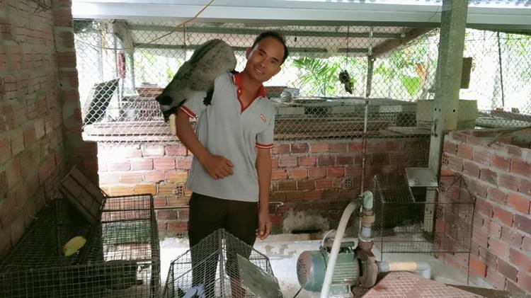 Hiệu quả từ mô hình nuôi chồn hương tại xã Việt An