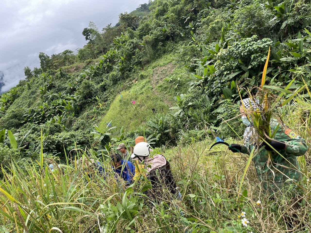 “LA ÊÊ: GIÚP DÂN THU HOẠCH LÚA CHẠY BÃO”