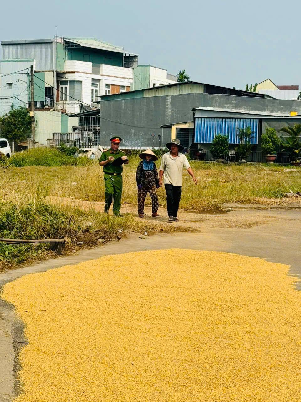 Công an phường Bàn Thạch tăng cường xử lý tình trạng phơi lúa lấn chiếm lòng đường