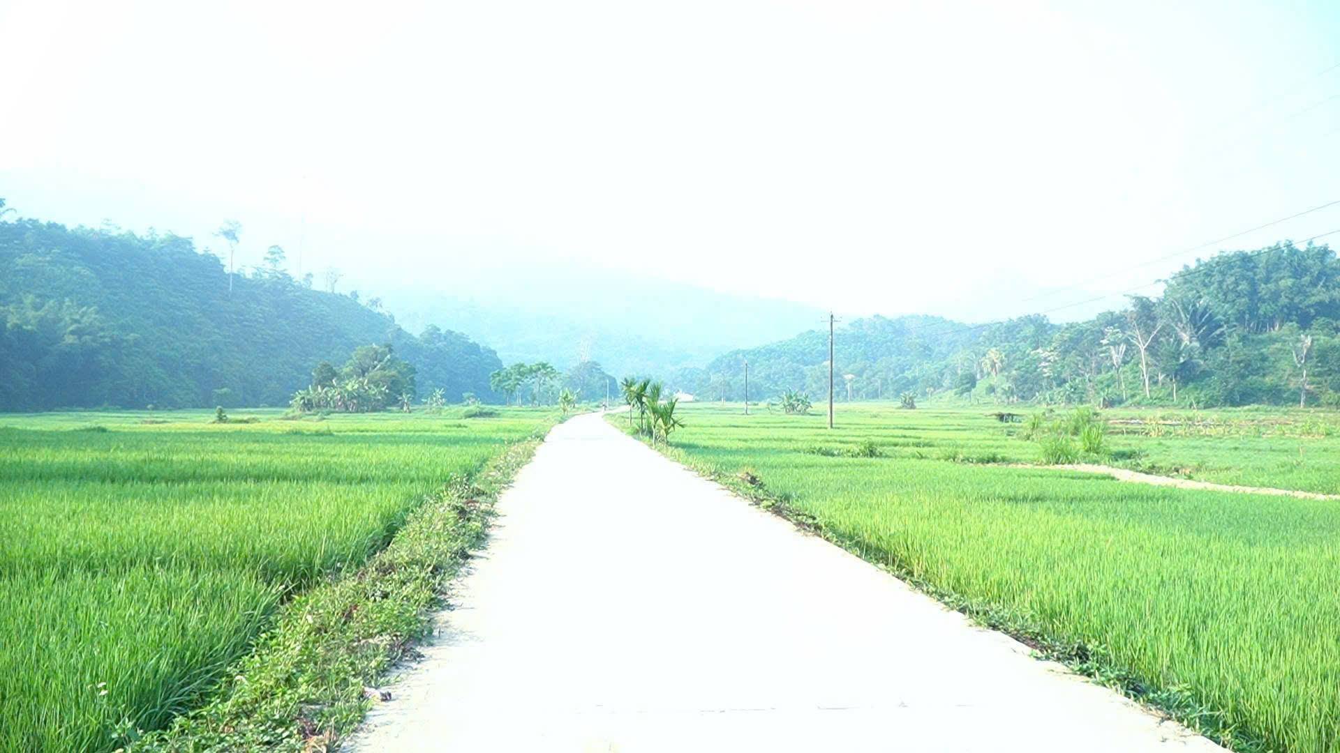 anh tin bai