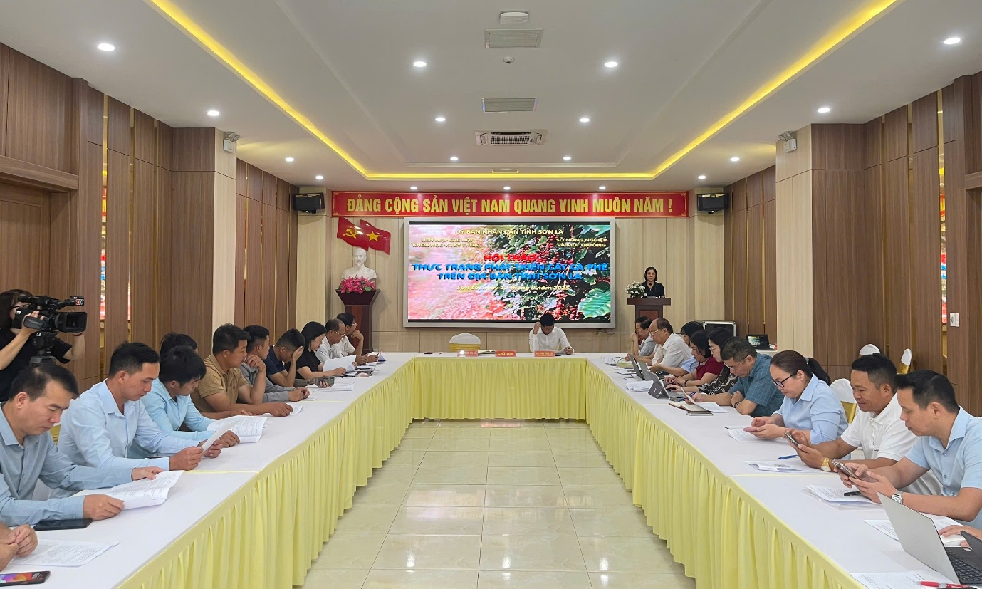 Hội thảo Thực trạng phát triển cây cà phê trên địa bàn tỉnh Sơn La