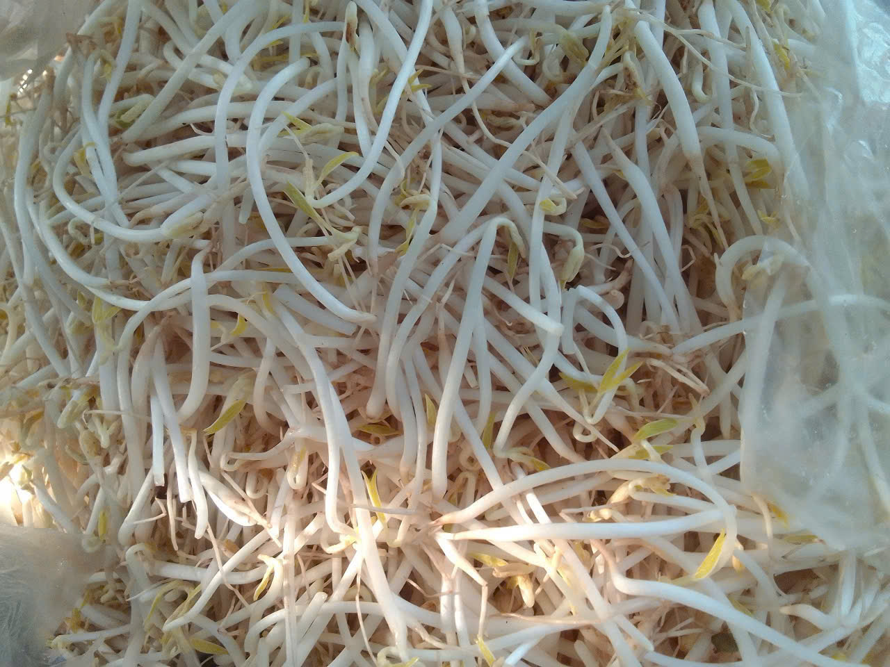 anh tin bai