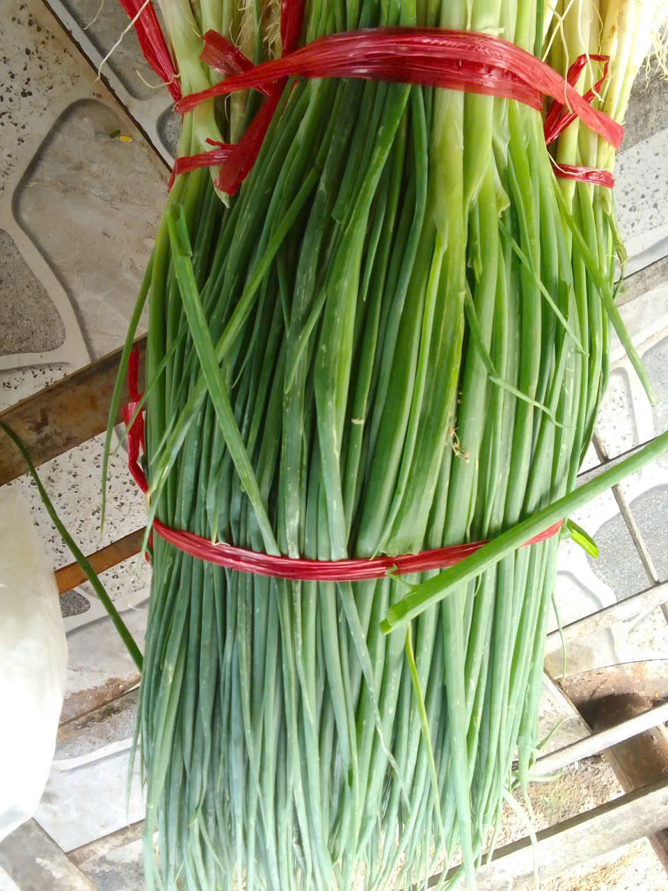 anh tin bai