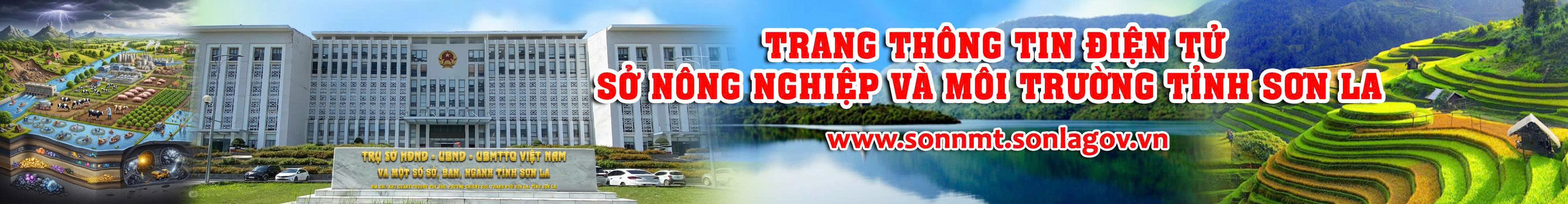 image banner