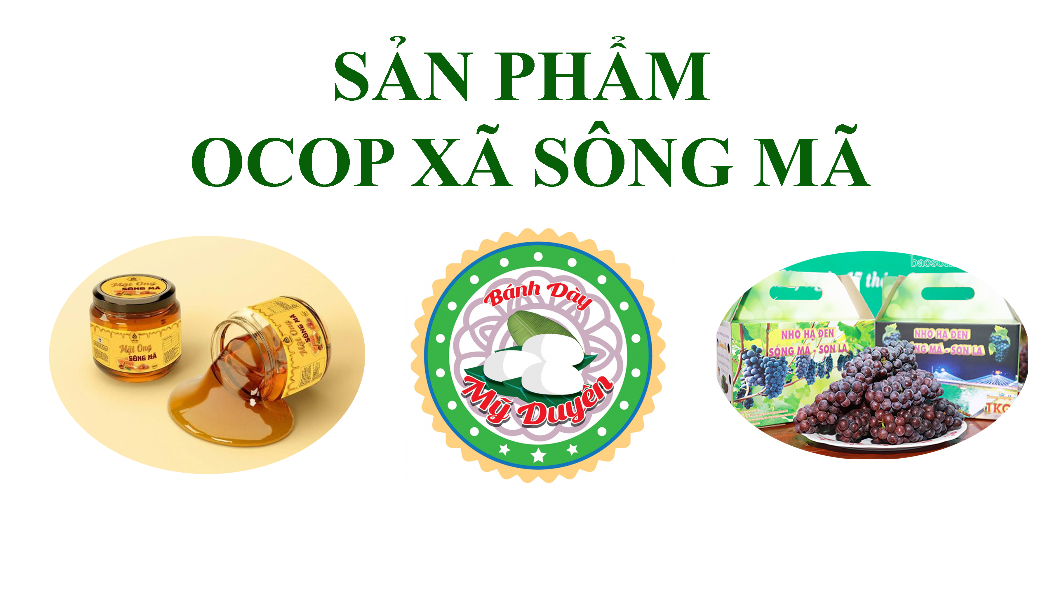 DANH SÁCH SẢN PHẨM OCOP XÃ SÔNG MÃ