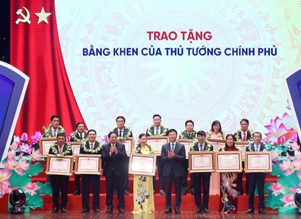 anh tin bai