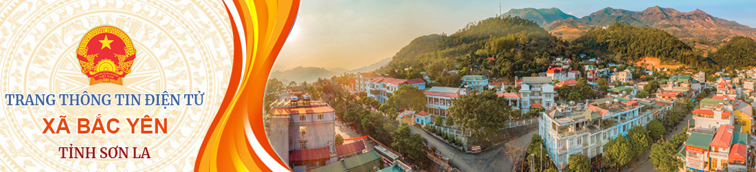 image banner
