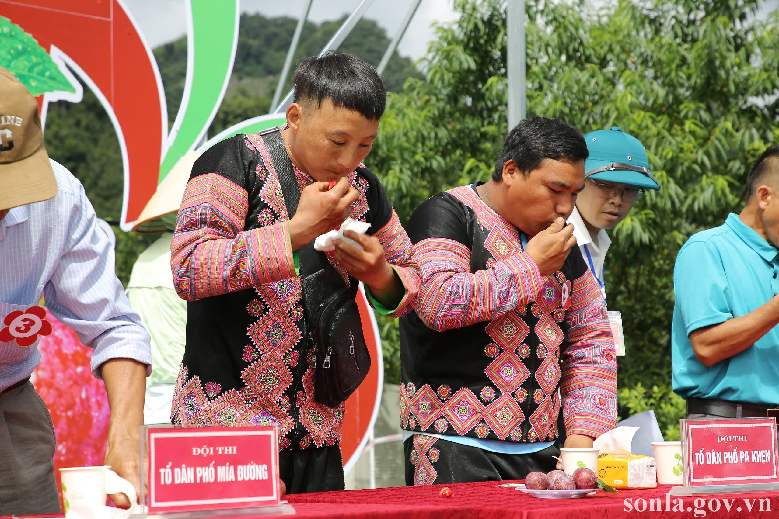 anh tin bai