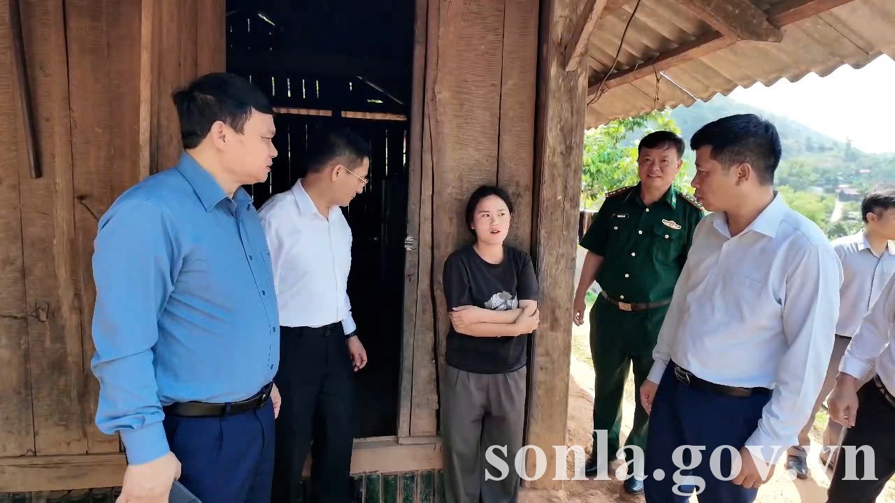 anh tin bai