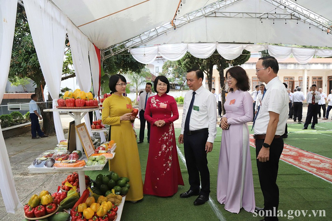 anh tin bai