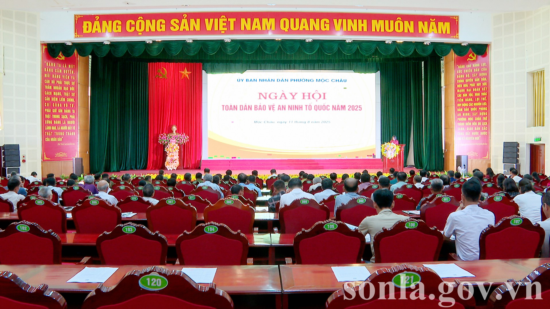 anh tin bai