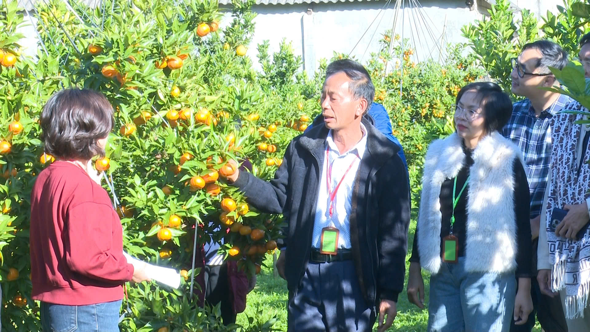 Kết nối nguồn lực- Thúc đẩy phát triển nông nghiệp xanh