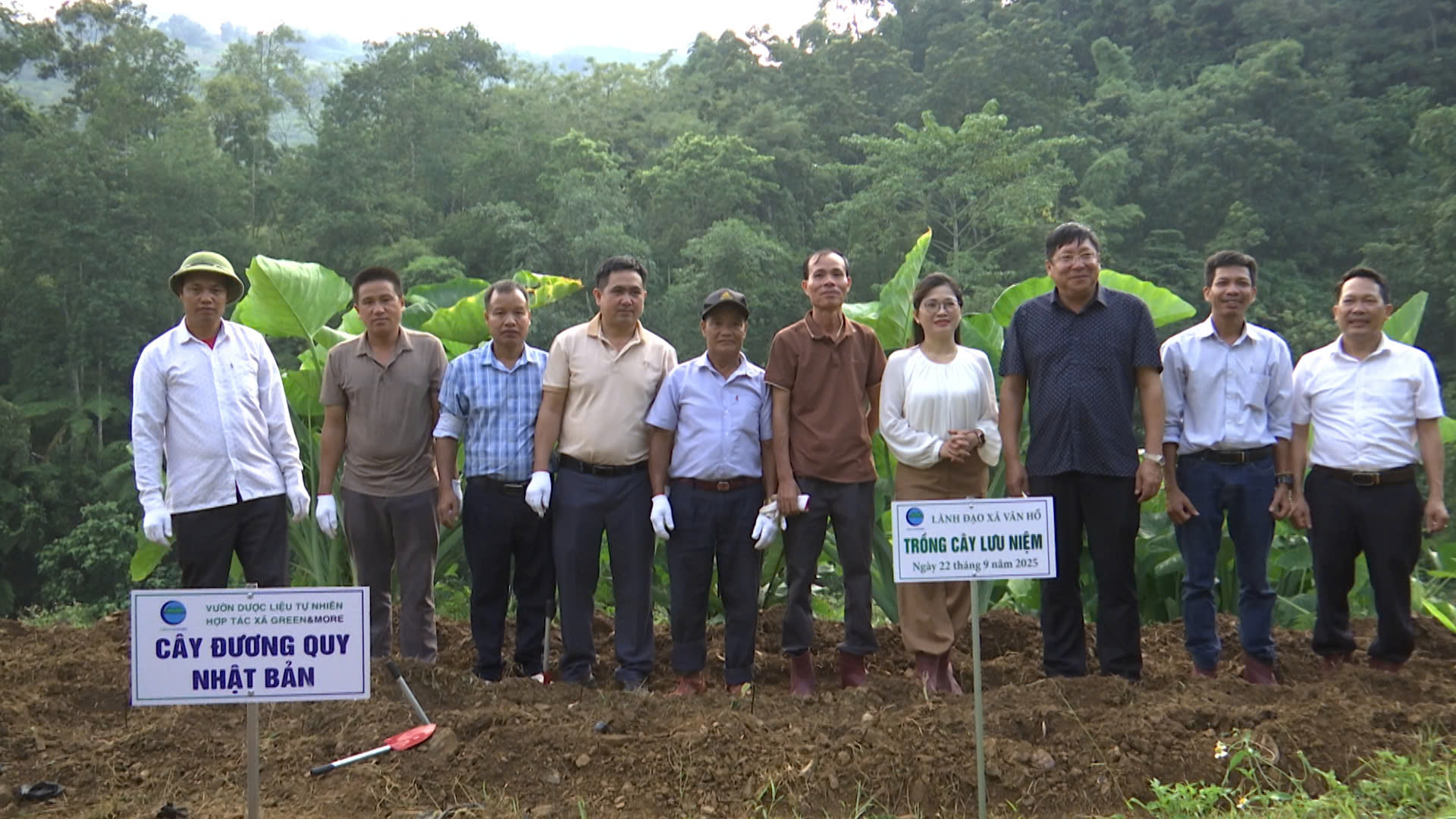 Thăm quan và trải nghiệm vườn dược liệu của Hợp tác xã Green &amp; More, bản Phụ Mẫu, xã Vân Hồ