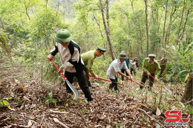 Bảo vệ và phát triển rừng bền vững