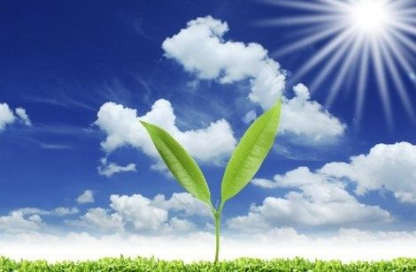 Hiện tượng thiếu vitamin D